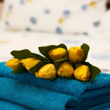 Appartement Bucharestby